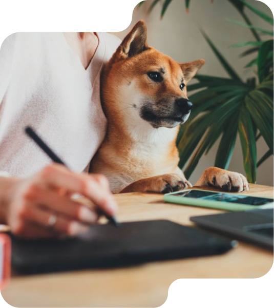 Happy dog symbolizing successful franchise opportunities at ADU