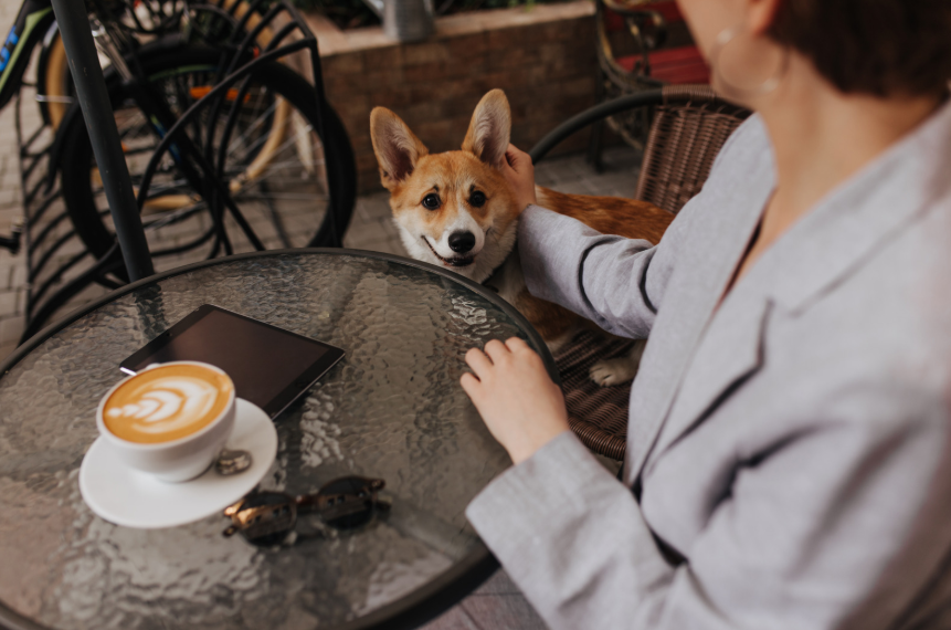 Coffee, Brunch, and Casual Spots Worth Trying