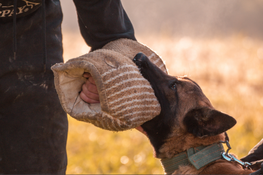 What Behavior Modification Actually Is