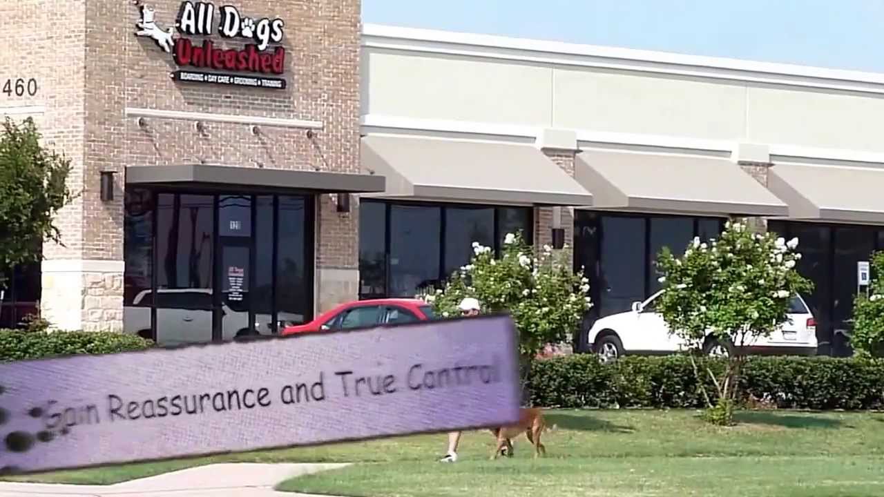 Dog training and boarding at All Dogs Unleashed