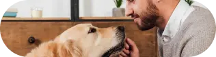 Happy small dog during in-home training session