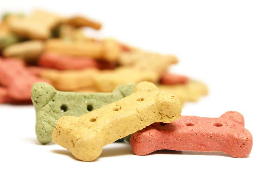 The Foundation: Making Coming to You the Best Decision Your Dog Can Make