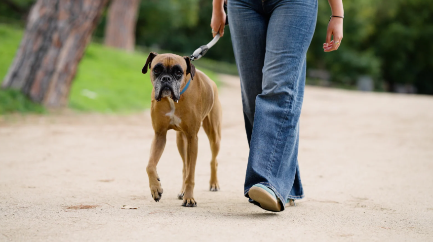 6. Decompression Walks