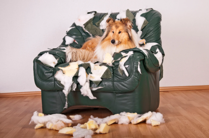 8. No Clear House Rules From Day One
