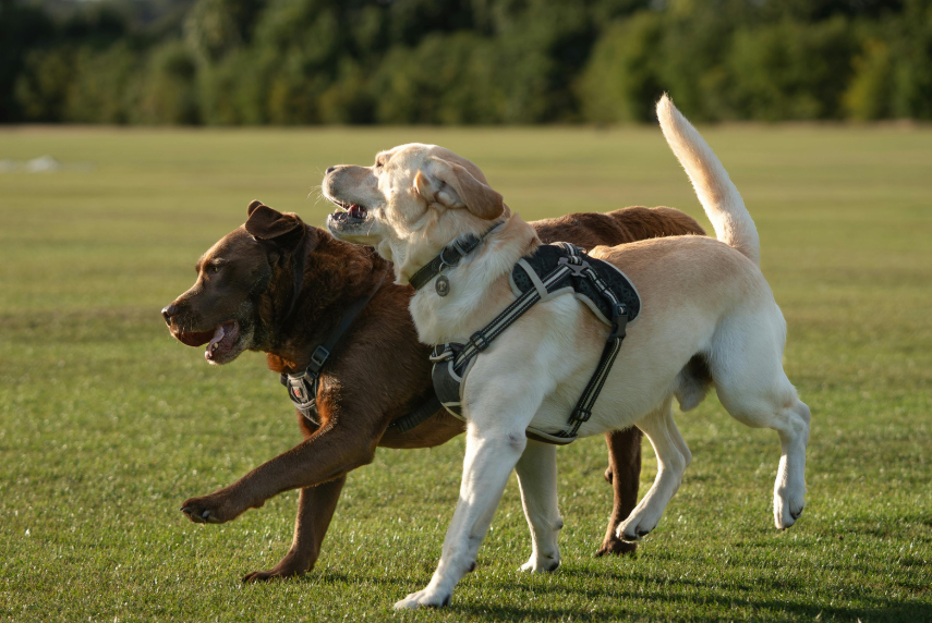 When Training Before Boarding Makes the Biggest Difference
