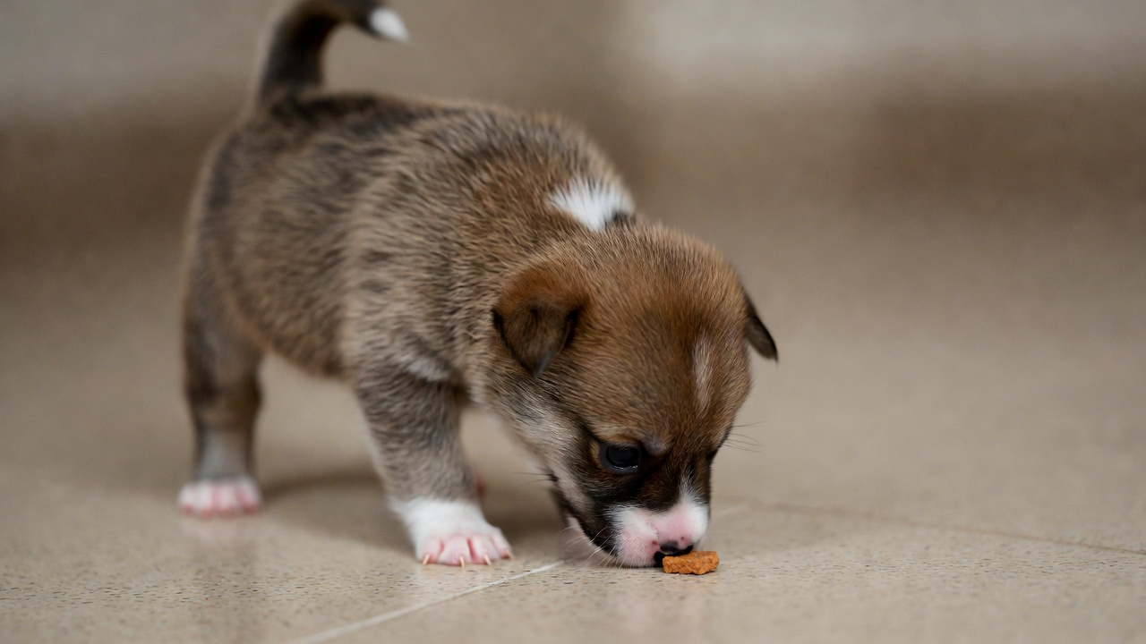 How to Make Socialization Experiences Positive