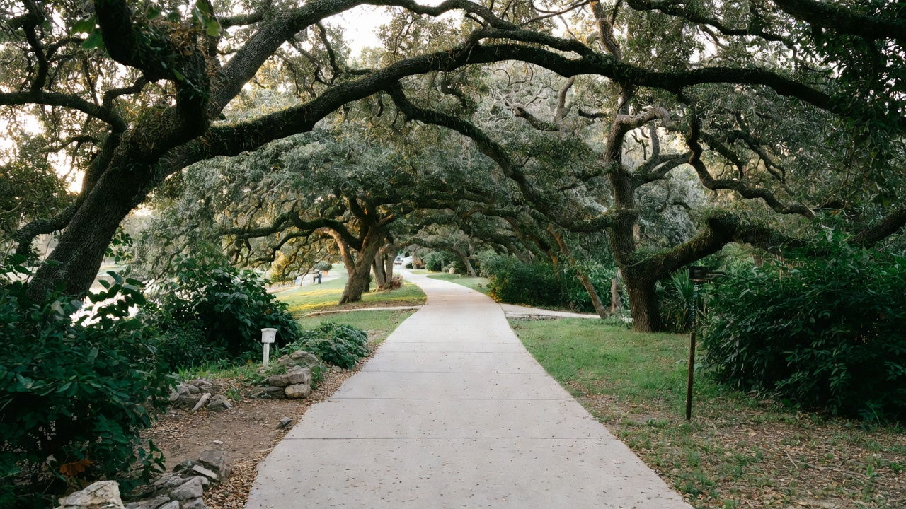 Top Dog-Friendly Trails and Green Spaces