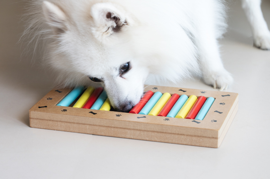 Building a Daily Routine That Reduces Biting