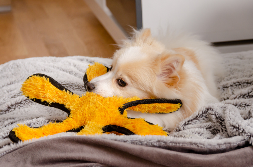 Redirecting to Appropriate Chew Items