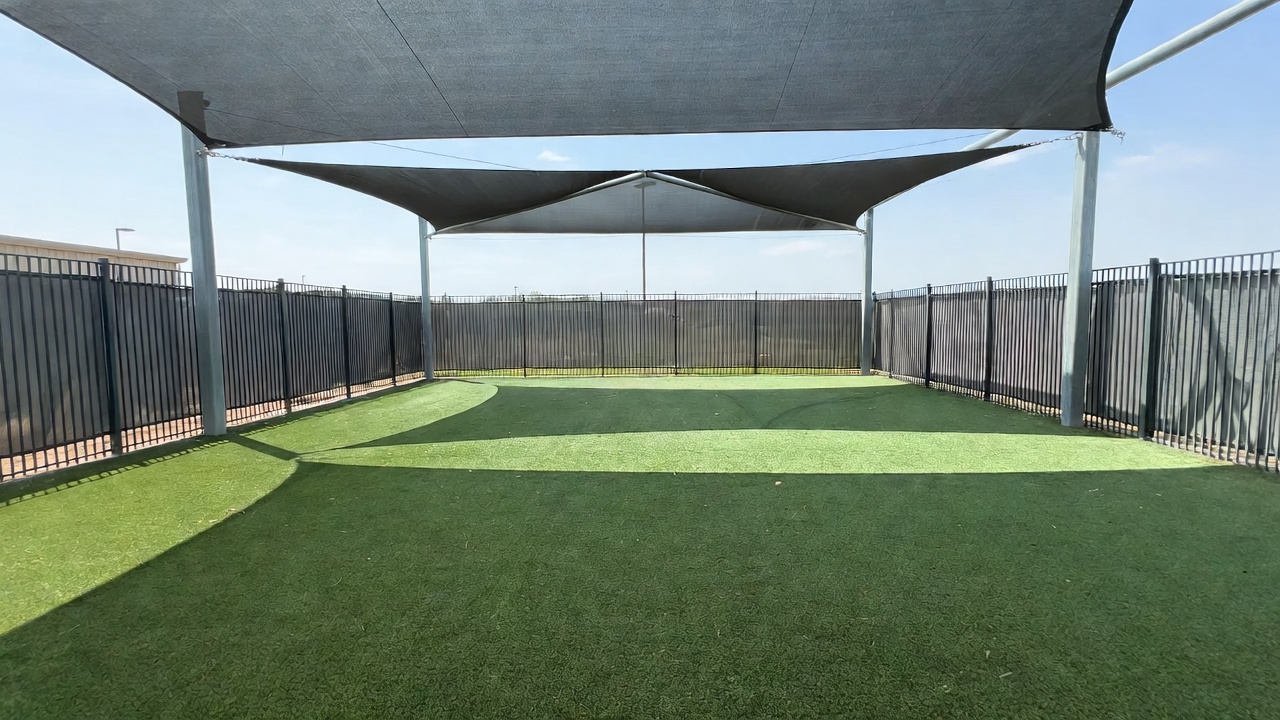 What to Look for in a Frisco Dog Daycare Facility