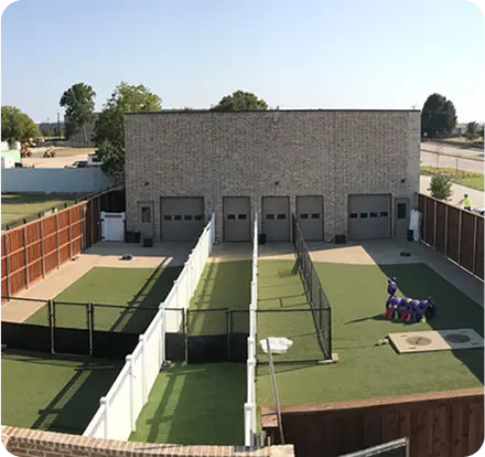 Indoor dog training and boarding center in Dallas