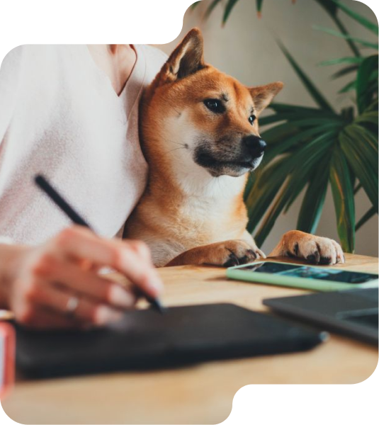 Happy dog symbolizing successful franchise opportunities at ADU