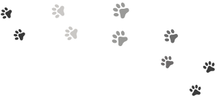 Paw prints