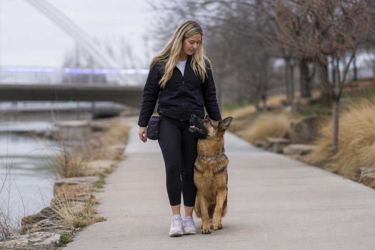 German Shepherd training in Oklahoma City with handler on urban trail