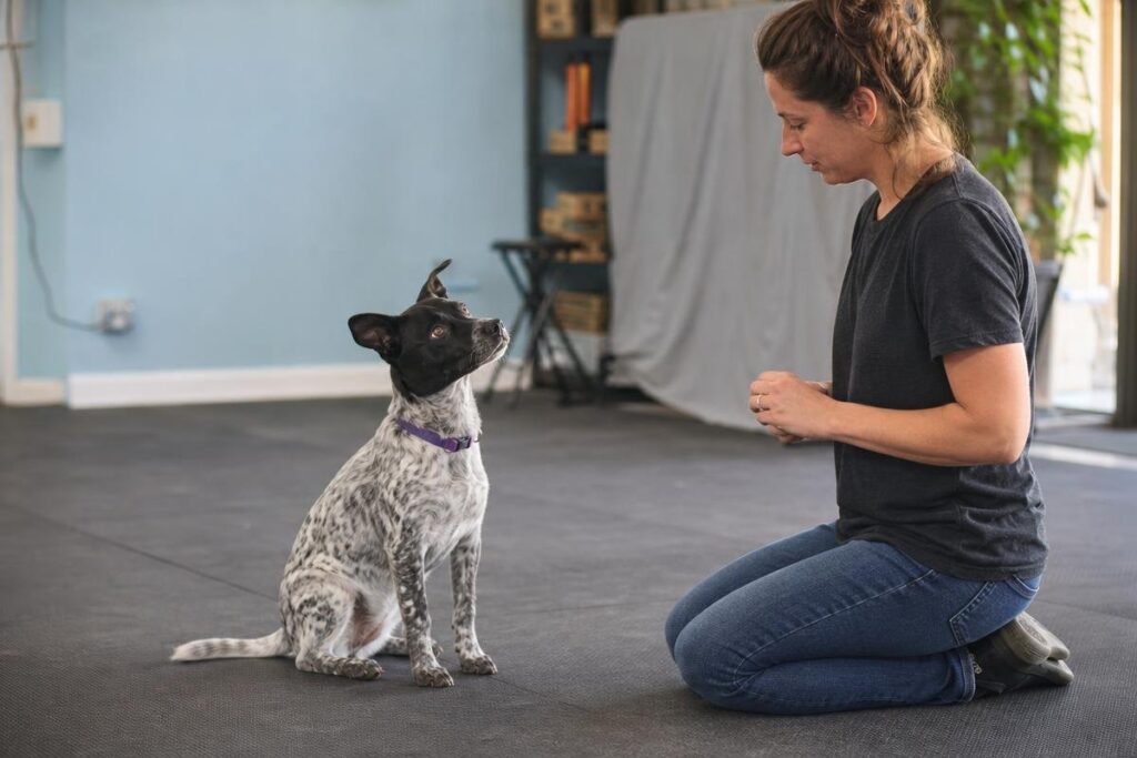 Rescue dog training session with professional trainer in Oklahoma City