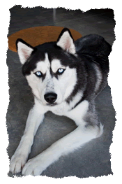 Picture of Kay and Scott