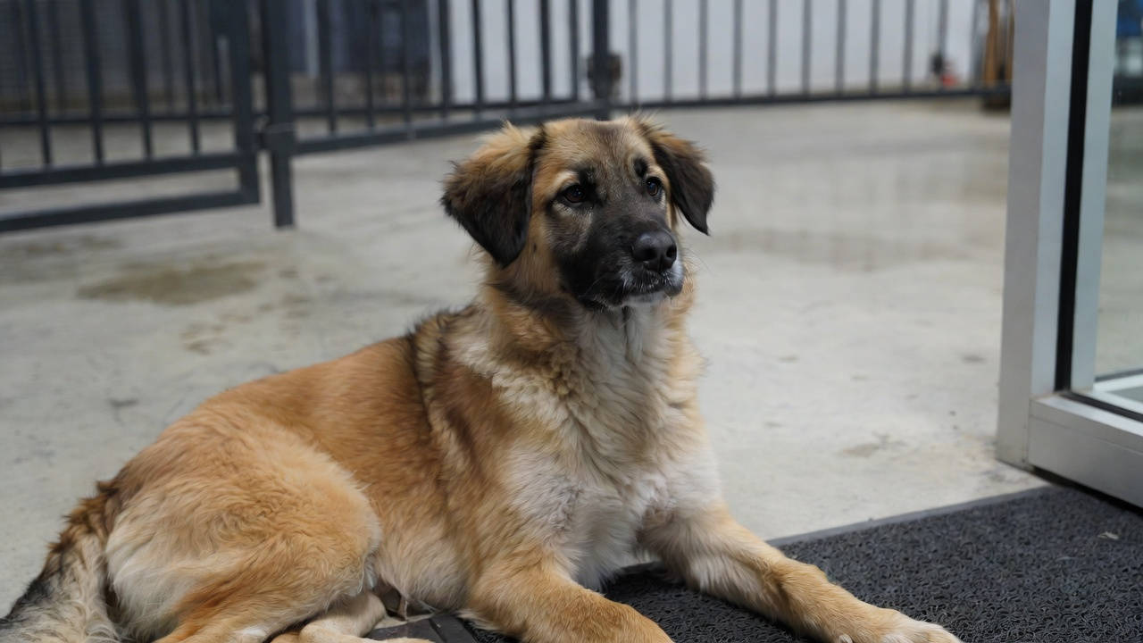 Why Preparation Makes a Difference