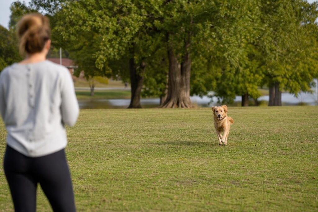 Adu bossier p hero at All Dogs Unleashed Shreveport (photo 3)