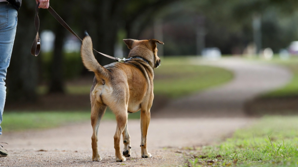 Evaluate the Training Methods Used