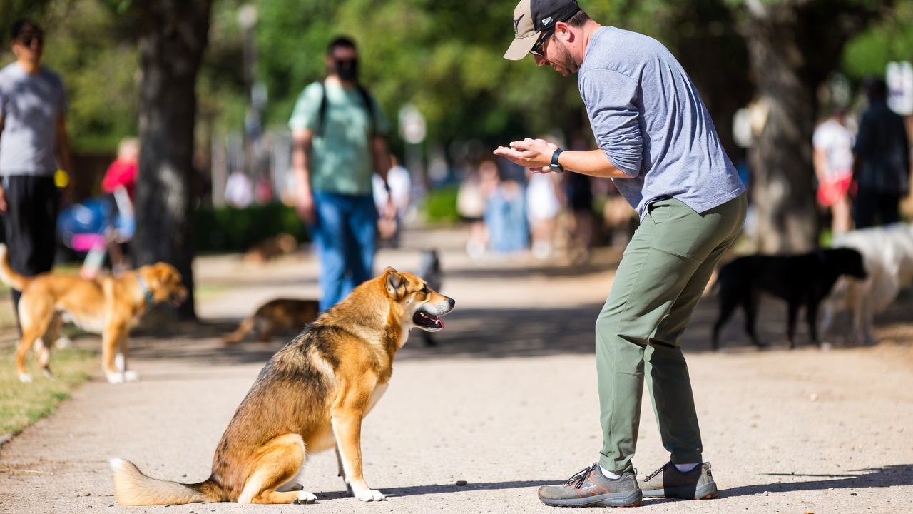 4. Basic Commands Do Not Hold in Real Situations