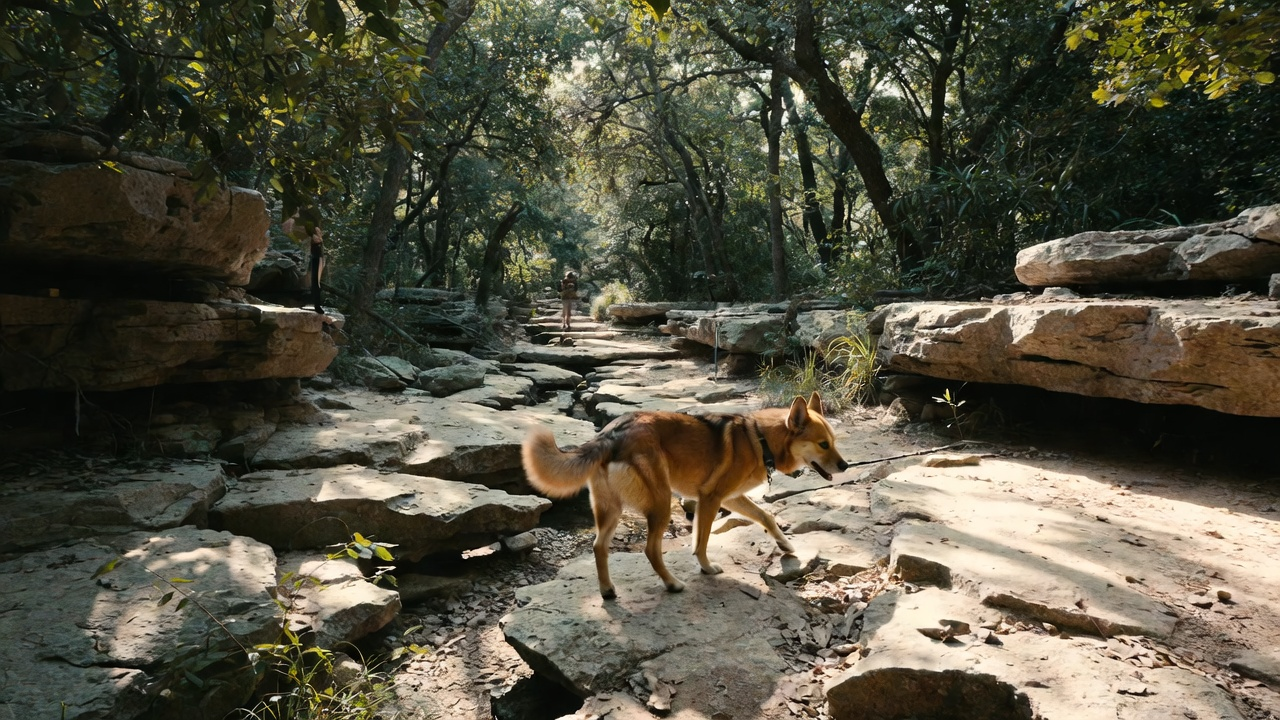 Barton Creek Greenbelt