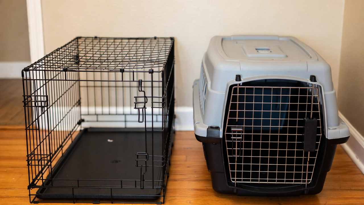Choosing the Right Crate
