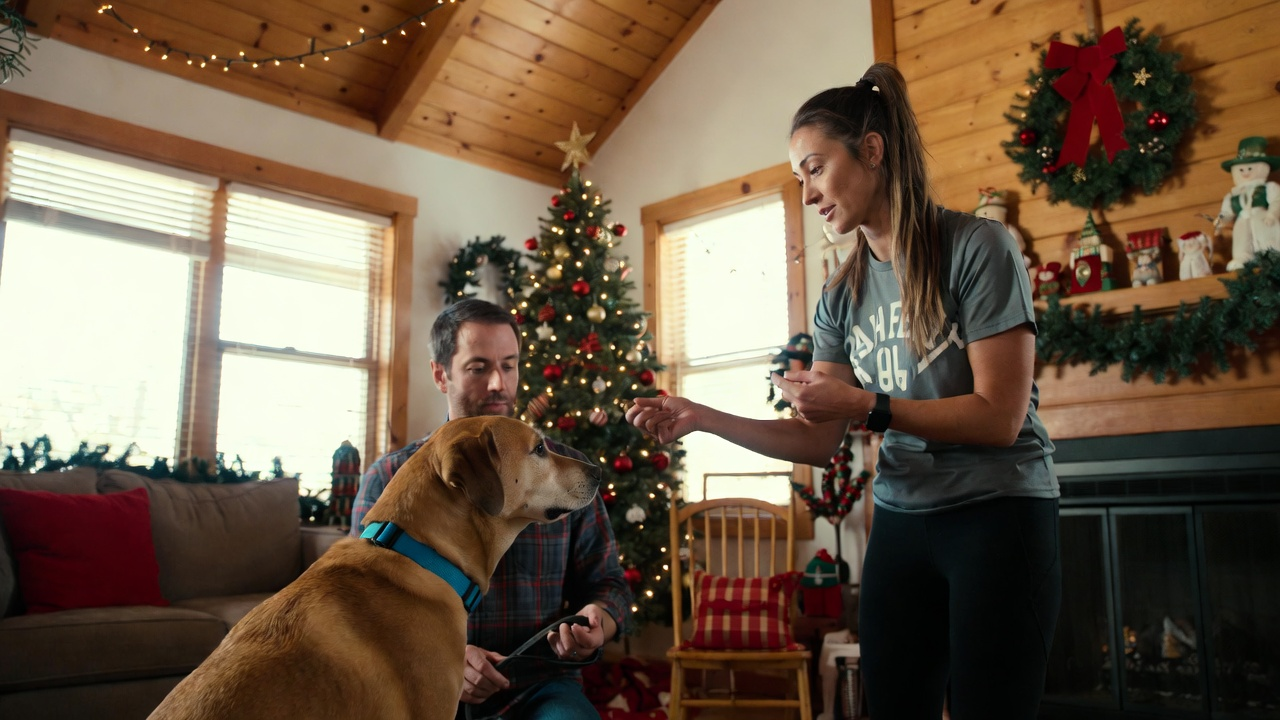 5. Use Professional Training to Build a Calm Holiday Foundation