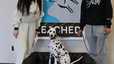 Dog training and boarding at All Dogs Unleashed in Austin, TX