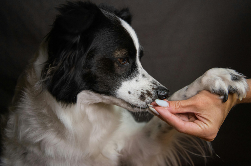 Use Positive Reinforcement Strategically