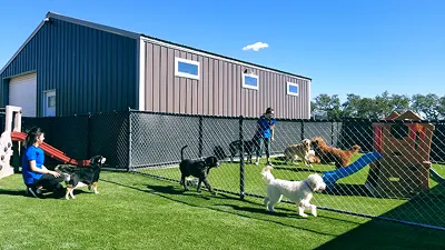Dog training and boarding at All Dogs Unleashed in San Antonio, TX