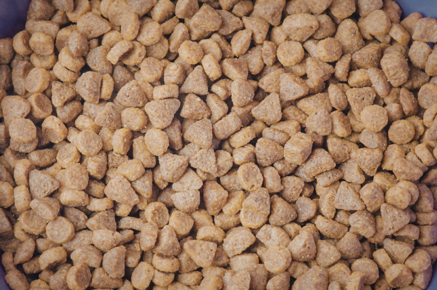 Top dog food brand picks for Dallas dogs in 2026