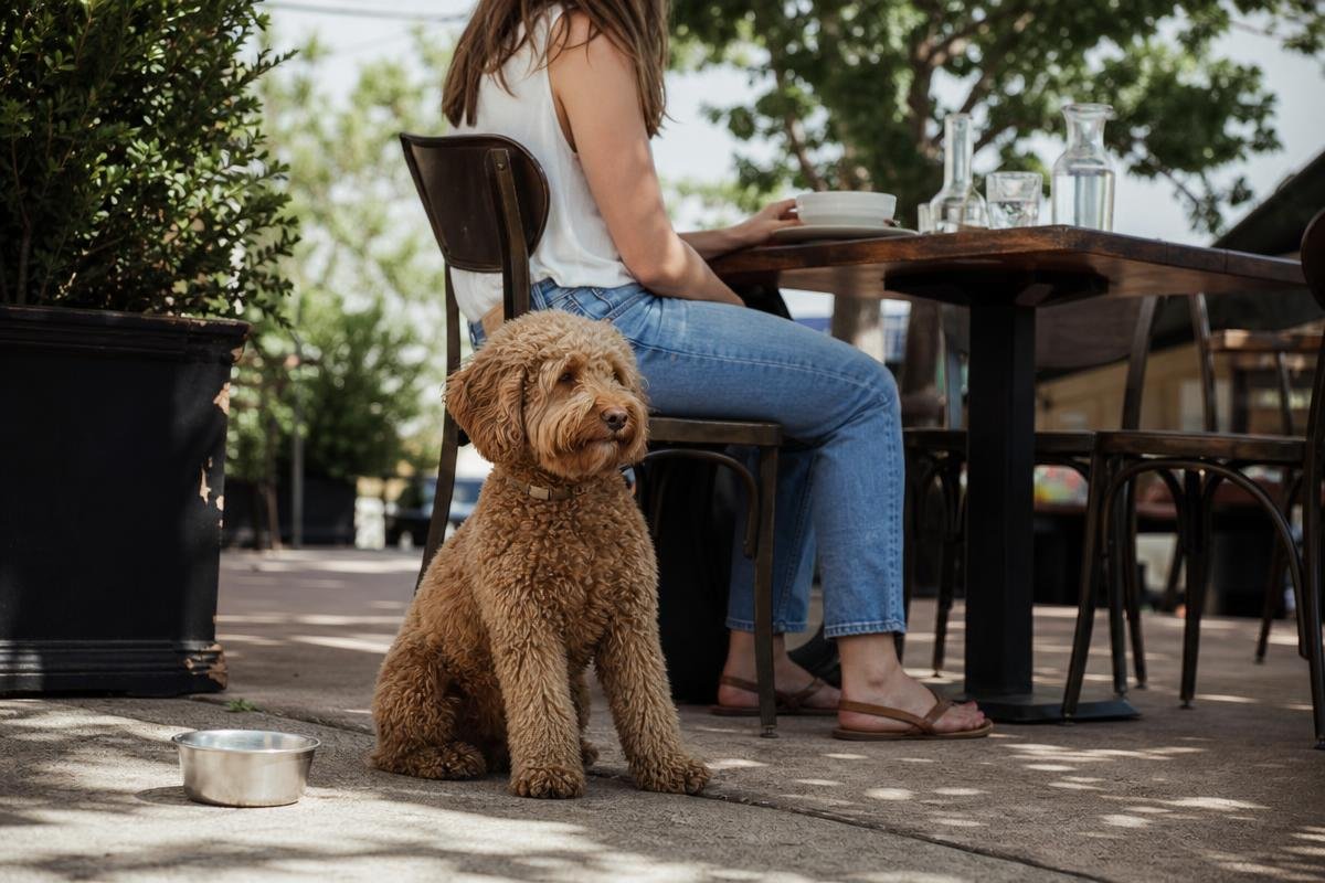 dog-friendly patio dining in Denver CO neighborhood