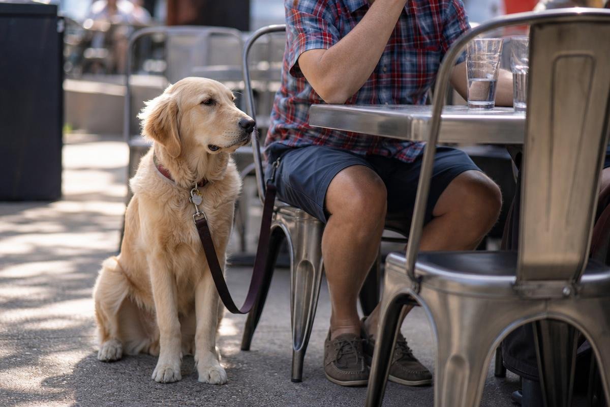 dog-friendly patios Denver CO dining with dogs outdoors