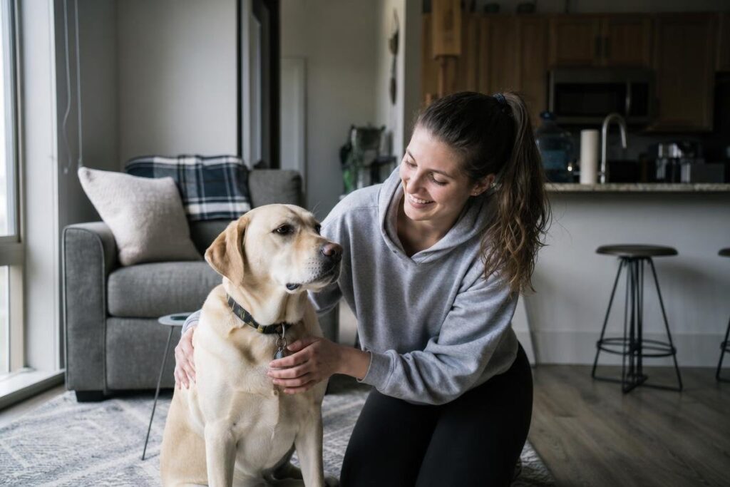 Dog training and boarding at All Dogs Unleashed