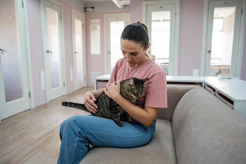 checklist of questions to ask a pet sitter in Dallas