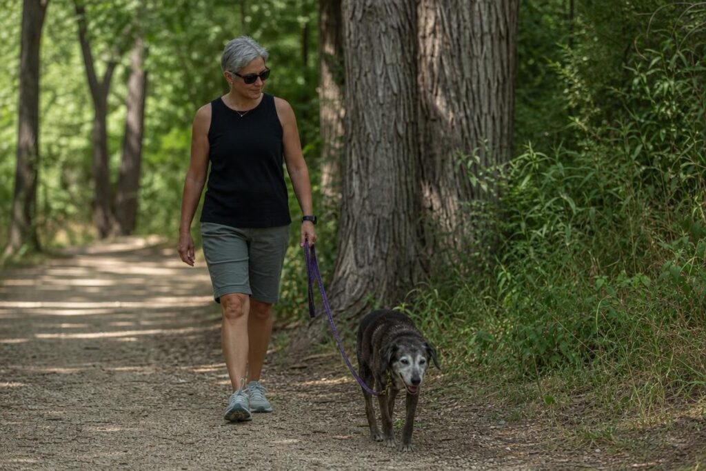 senior dog exercise on a shaded Fort Worth trail