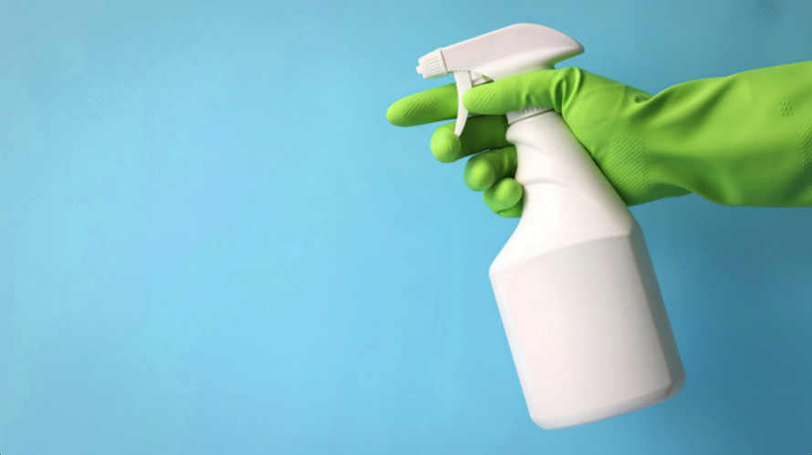 Cleaning up a puppy accident in a Denver apartment with enzymatic cleaner