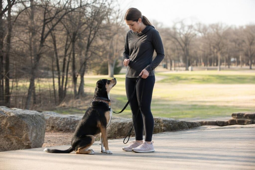 positive reinforcement dog training Fort Worth trainer working with dog on leash