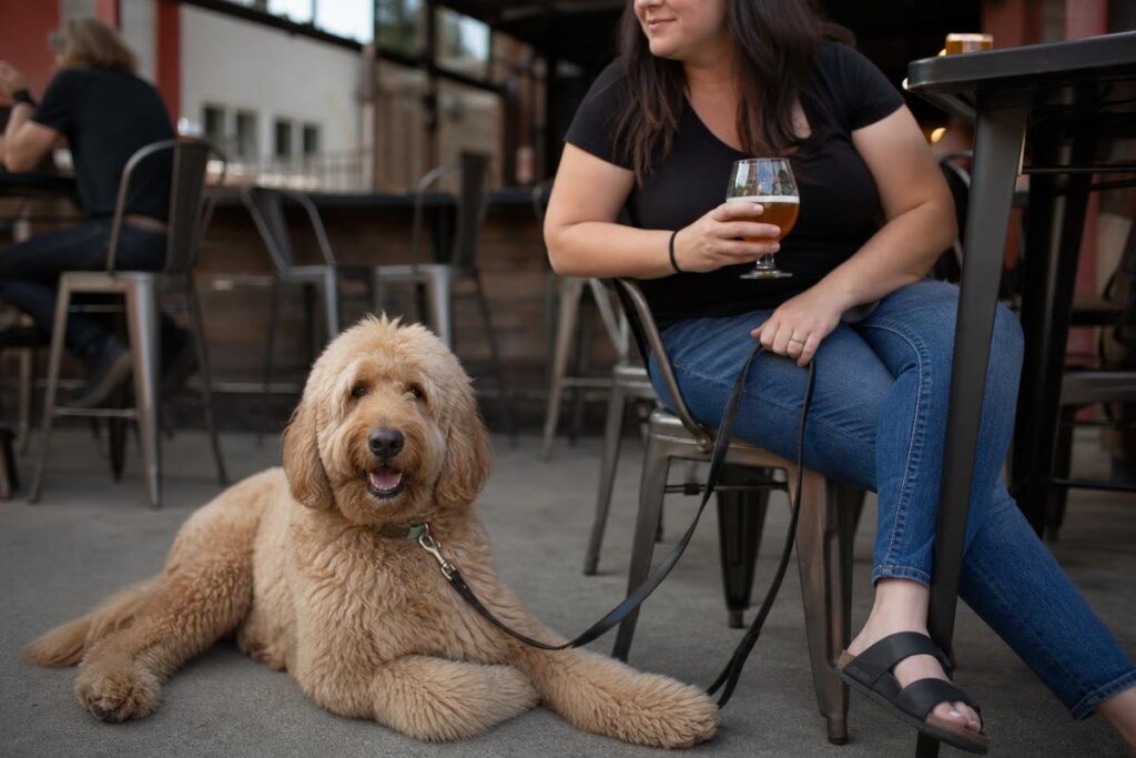 dog friendly patios Des Moines well-trained dog at brewery