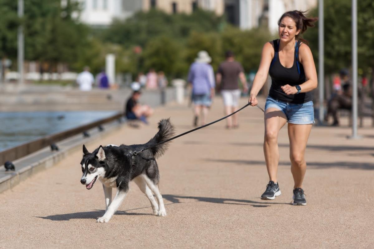 dog pulling on leash in Dallas park during walk