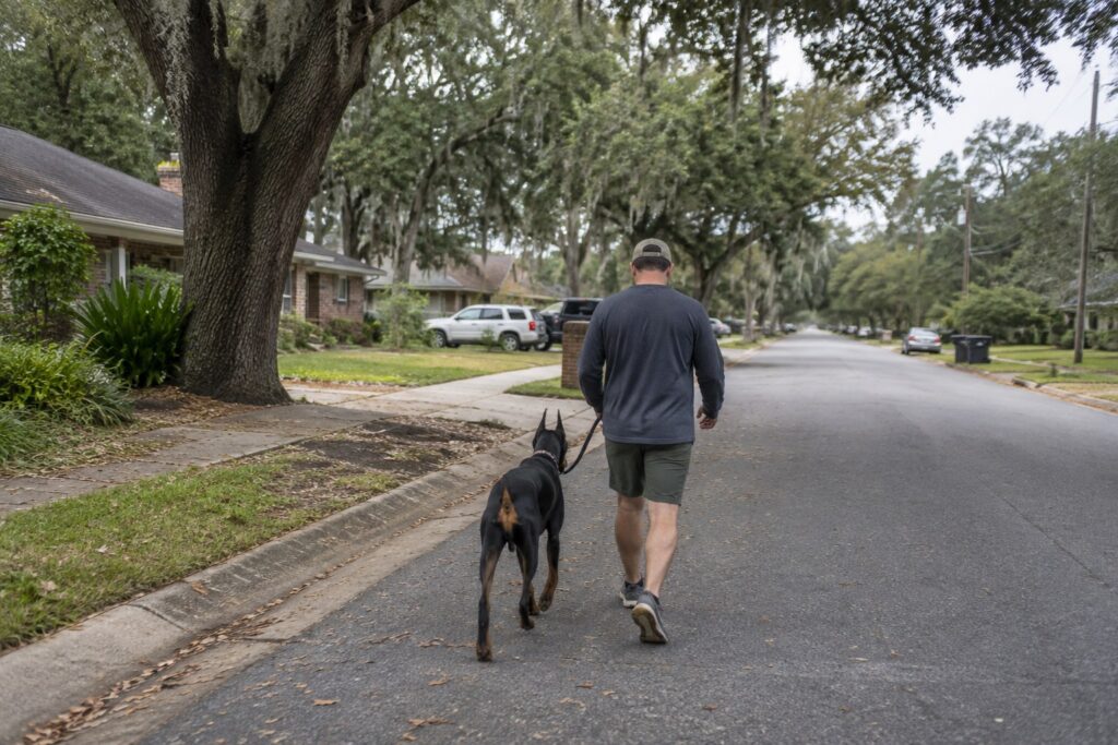 A Bossier Owner's Plan for Doberman Training That Builds Calm Confidence – illustration 2