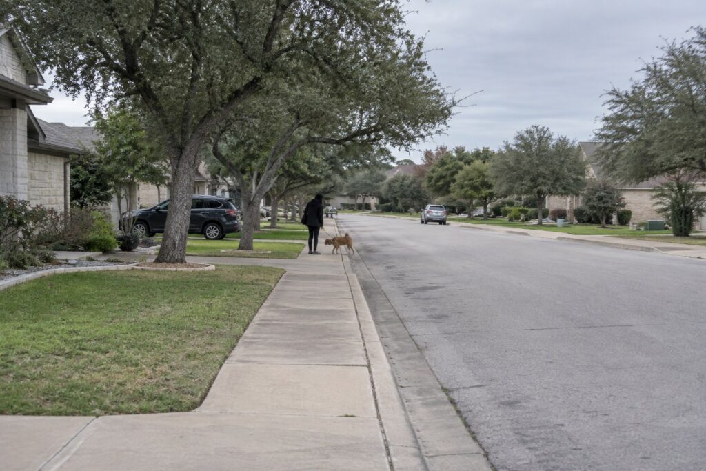 A Safer Walk for Austin Owners Learning How to Stop a Dog From Chasing Cars – illustration 1
