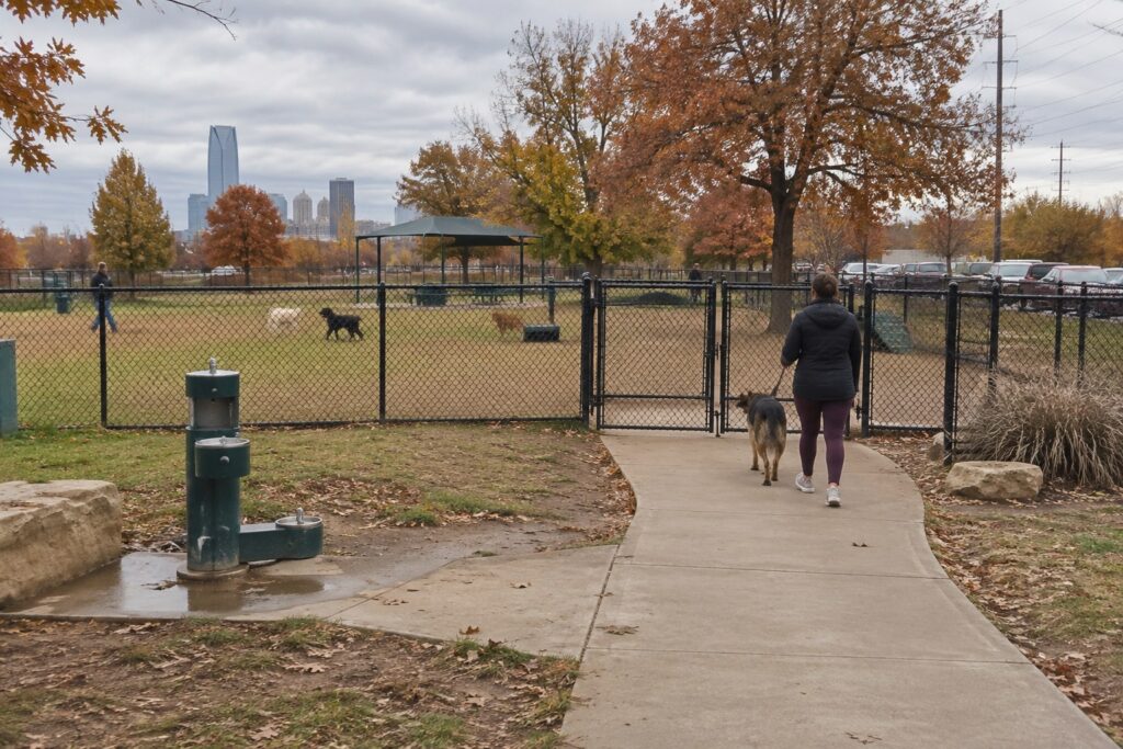 Building a Reliable Recall With Off-Leash Dog Training in Oklahoma City – illustration 2