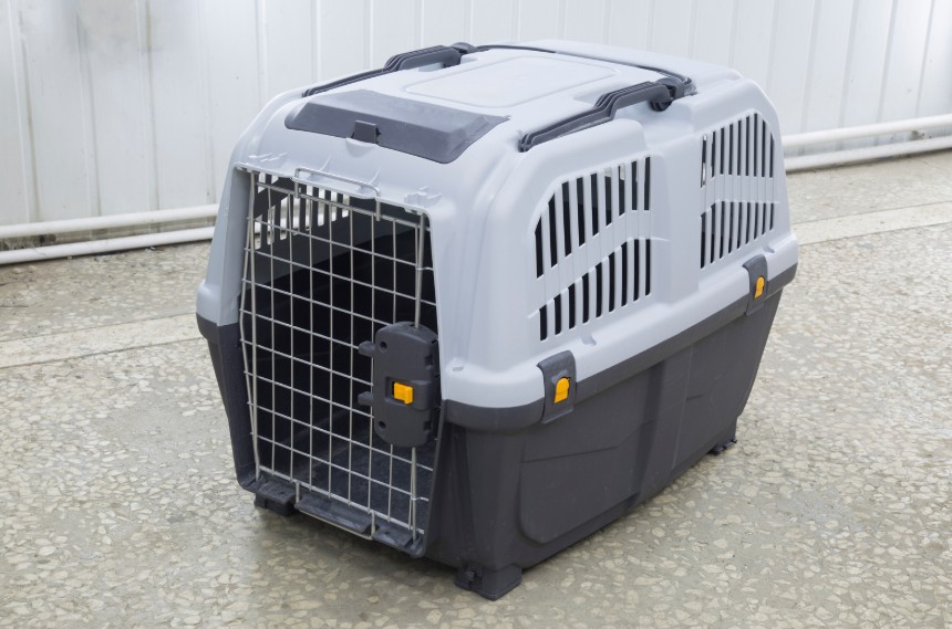 Choosing the Right Crate, All Dogs Unleashed Dog Training Bossier City